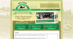 Desktop Screenshot of buggyline.com